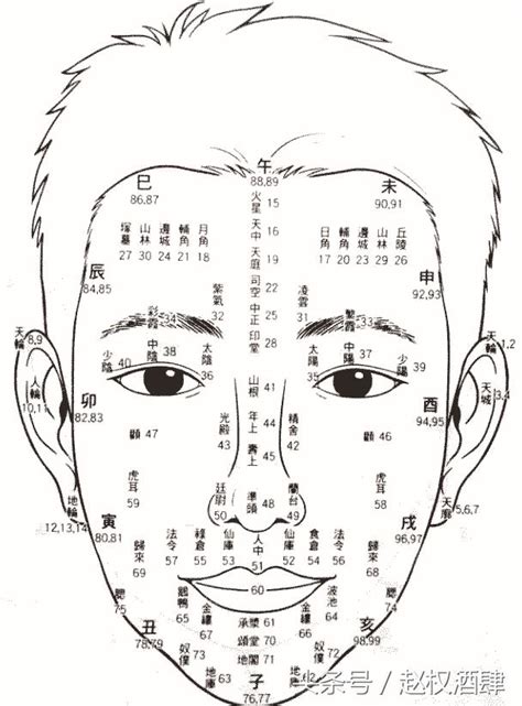 百歲流年圖 面相|1到100歲，面相流年氣運圖教你如何看自己的面相